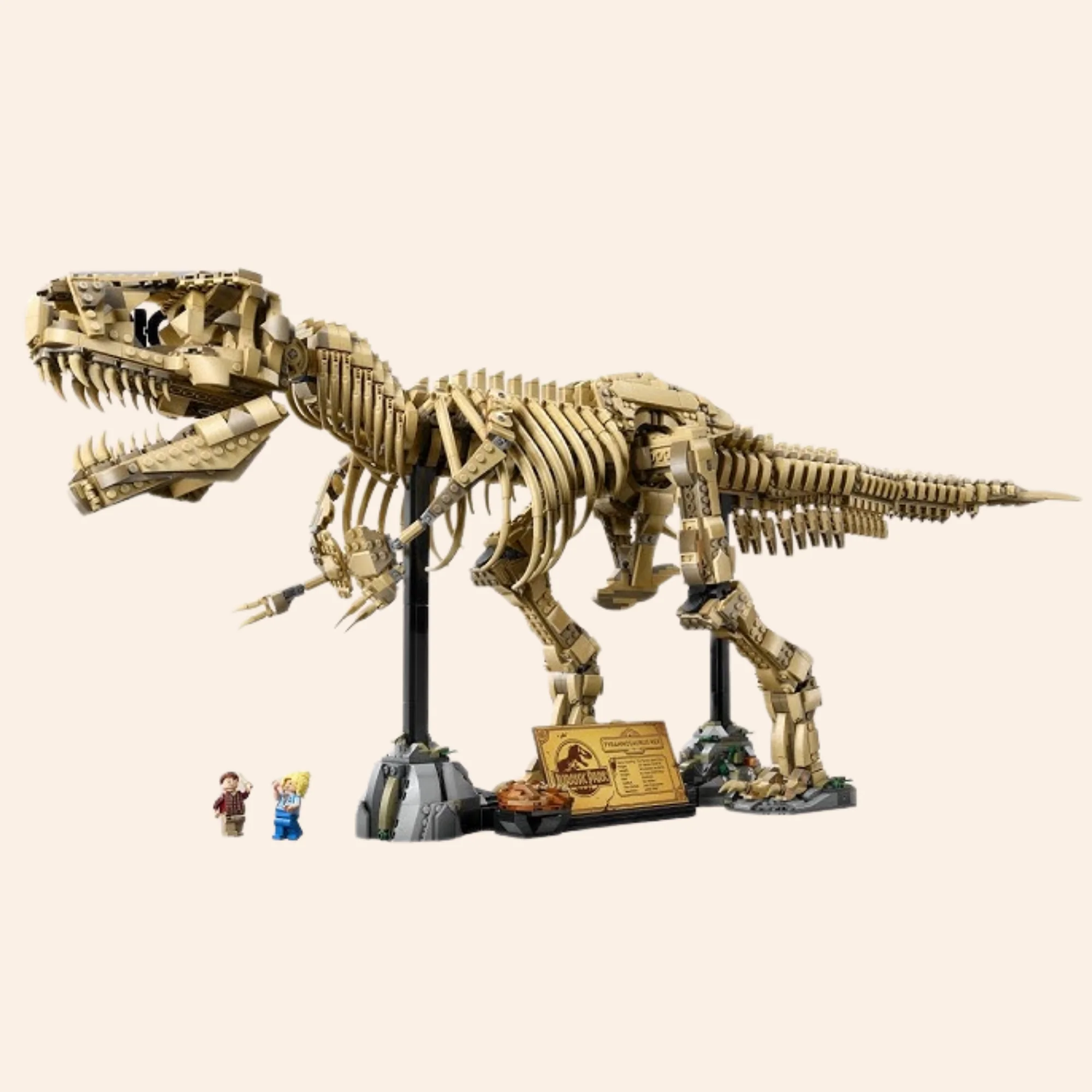 Jurassic Fossil T Rex 76968