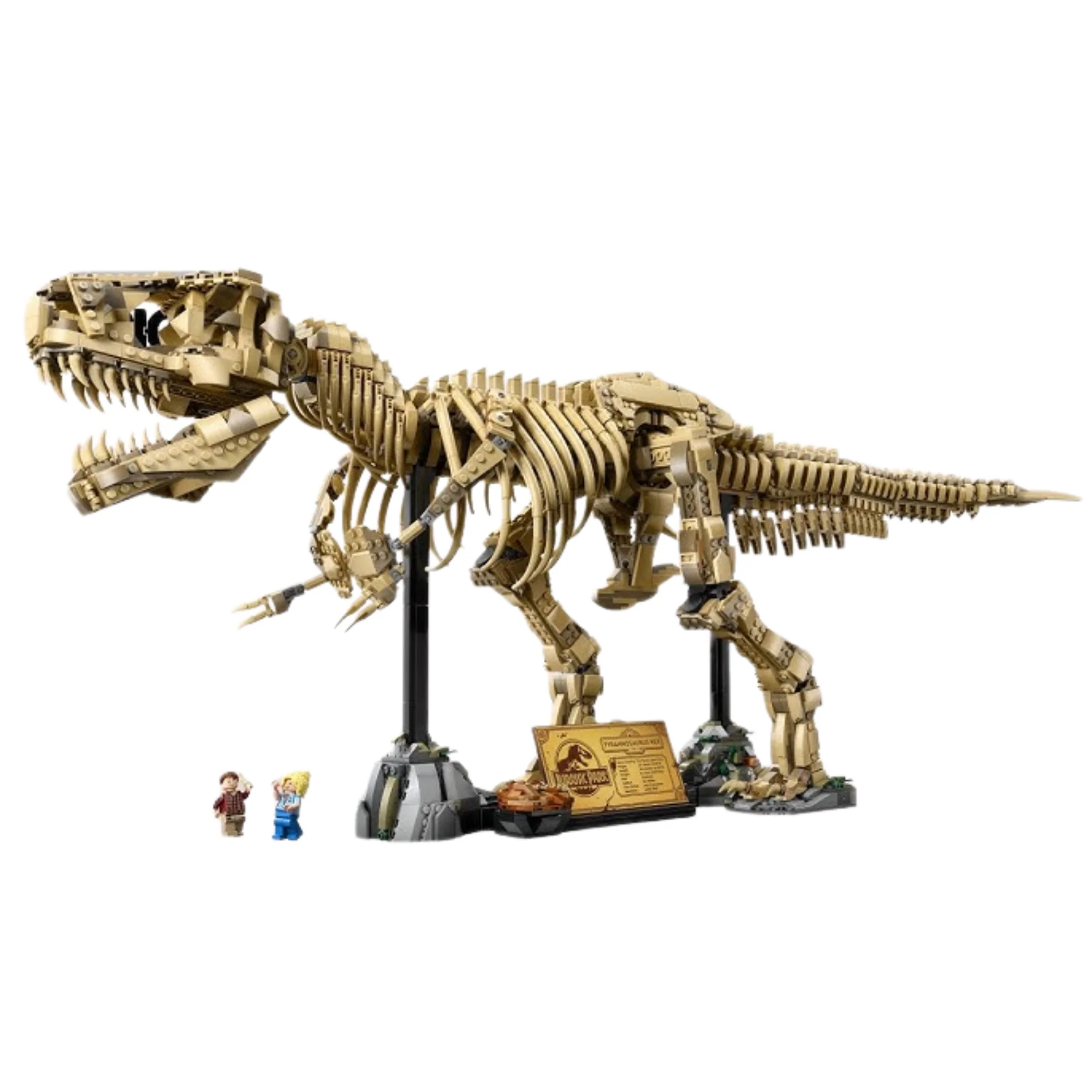 Jurassic Fossil T Rex 76968
